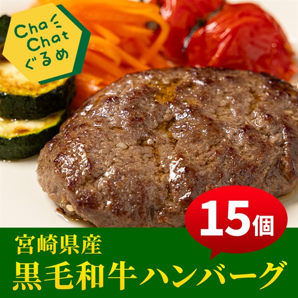 宮崎県産黒毛和牛ハンバーグ（15個）