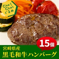 宮崎県産黒毛和牛ハンバーグ（15個）